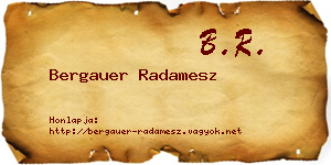 Bergauer Radamesz névjegykártya
